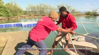 Poindimié : des pêcheurs d’Ouvéa embarquent des passagers et vendent du poisson