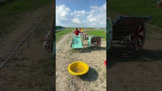 giant ball crashes through chaos ! every step gets tougher but who hit the final shot to win it all?