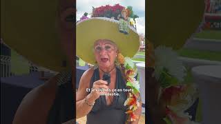 Coupe Clarke 2025 : le concours de chapeaux #nouvellecaledonie  #ncla1ere #coursehippique #cheval