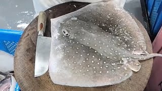 yant is live potong ikan pari 2 jam