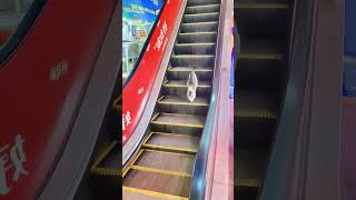 😂😂 Cat and Dog funny moments😂😂#funnyanimals #catshorts #funnypets #catfunny #petflix&laugh #cat