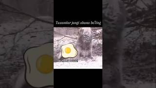 Cuando no es tu día