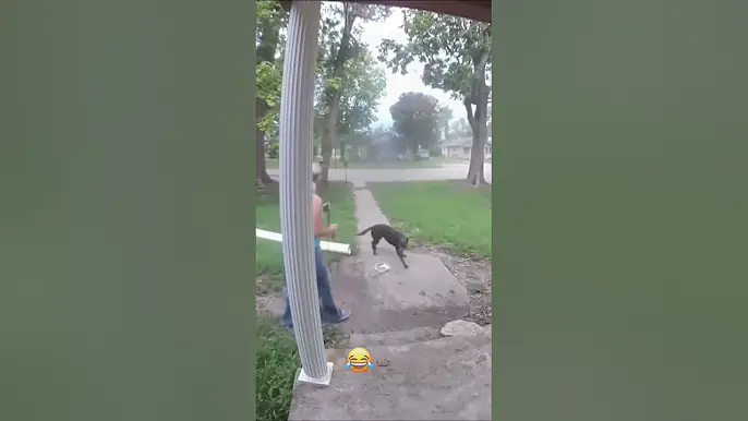 YOU CAN'T STOP ME 😂😂😂