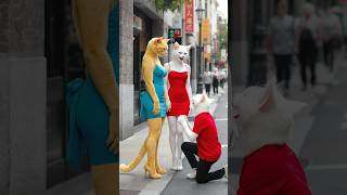 إتنمرو علي القط مياو الطيب بسبب جسمة الضعيف😢والاسد كسر عضمة😱 النهاية غير متوقعة😱#shorts #cat #ai