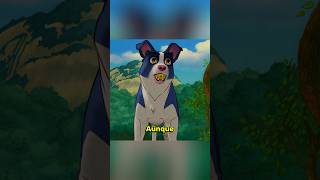 Abandonado en el Bosque:  La Pelota de la Traición 🐶💔🥲