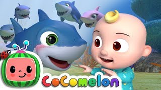Baby Shark | ‪@CoComelon‬ Nursery Rhymes & Kids Songs