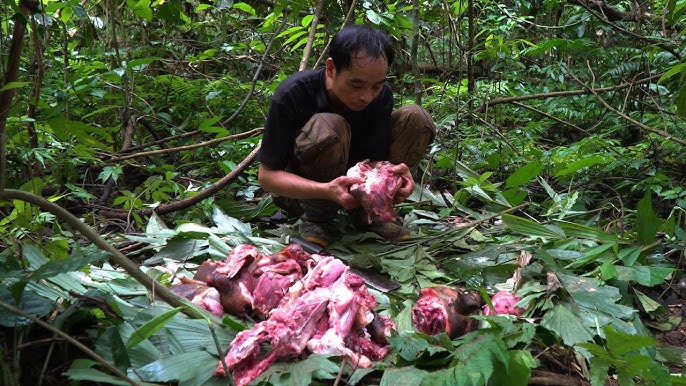FULL VIDEO: Field dressing a trapped wild boar to sell at the market and survive off the land
