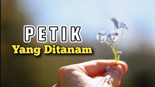 Petik Yang Ditanam - Renungan dan Doa Pagi 3 Agustus 2025