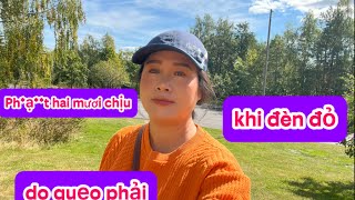 🟢  PHẦN I: TD DẪN BÀ CON ĐI COI NGƯỜI TA LÀM LUẬT GIAO THÔNG LIÊN QUAN ĐẾN QUẸO PHẢI KHI ĐÈN ĐỎ NHEN