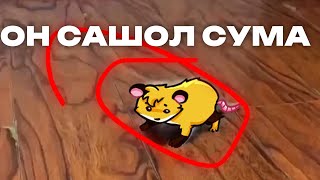 ЛЮТОЕ ДУРАЧЕСТВО / ФУРРИ стрим