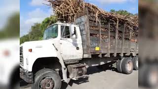 Court Hits Cane Farmers with Costly Blockade Bill