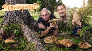 Im Wald der STEINPILZ- RIESEN 😱 Die schönsten Pilze des bisherigen Jahres 2025 🍀