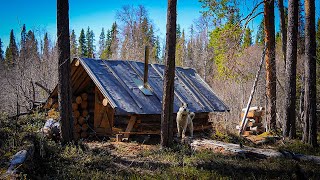 ЗА ХАРИУСОМ НА ТАЁЖНУЮ РЕЧКУ. ПЕРВАЯ РЫБАЛКА С НОЧЕВКОЙ В ИЗБЕ "БОРОВОЙ 24г.