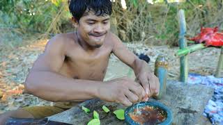 survival in the rainforest - PIG FROG