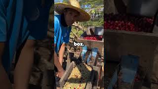 I told my drill sergeant his technique was wrong ...