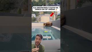 O Gato Caiu do CÉU na JANELA dela! 😱