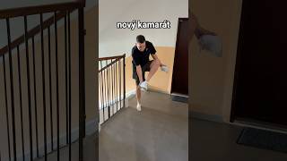 Nový vs. Najlepší kamarát