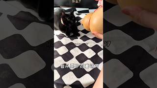 "Boneka Aneh Menempel di Blacki?! 😱 Misteri Cairan Hitam…"#shorts#kucing