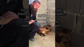Gerettet ❤️‍🩹 #savethedogsbih #rescuedogs #teamwork #pleasehelp #pleasedonate #dogrescueshelter