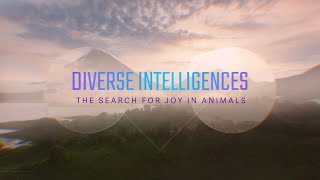 Diverse Intelligences: The Search for Joy in Animals