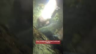 🎣𝗣𝗲̂𝗰𝗵𝗲 𝗮̀ 𝗹'𝗮𝗻𝗴𝘂𝗶𝗹𝗹𝗲 𝗱𝗲 𝗻𝘂𝗶𝘁 𝗮̀ 𝗕𝗼𝘂𝗿𝗮𝗶𝗹 - Partie 2/2