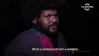 WAGÉÉRI – Pêche à l'anguille de nuit à Bourail