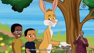 REB/PH4/PP/EP9/AMAZI