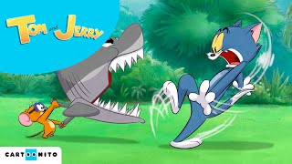 Tom e Jerry | Pesca perigosa | #Nova #Série | Cartoonito