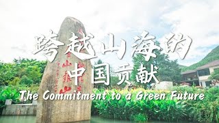 The Commitment to a Green Future