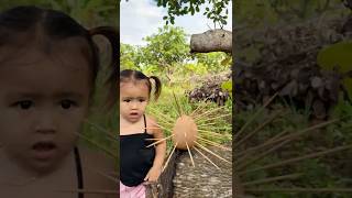 Survival Skills: SINGLE mom SMART idea and Useful in forest #bushcraft #camping #outdoors #survival