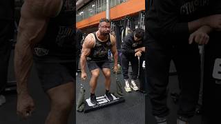 Elite Bodybuilders vs Hissy 💪