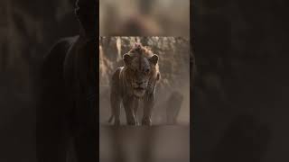 brother betrayed brother #movie