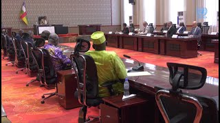 Un appel aux partenaires de la RCA pour la mobilisation des moyens pour le DDRR