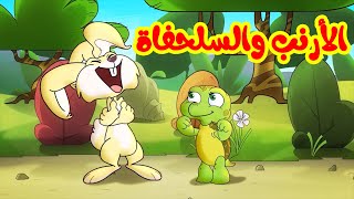 الأرنب والسلحفاة - طيور بيبي Toyor Baby