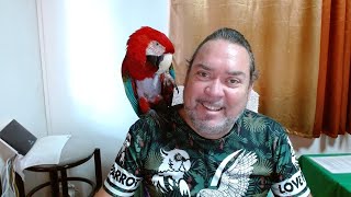 Un p'tit café avec toi et Jackson mon perroquet.