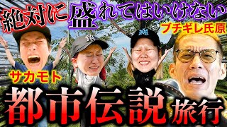 【衝撃映像】UFO呼んだら宇宙人に遭遇...【GGチャンネル】