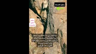 شاهد أعظم ماشاهدته عيني عن لطف الله عزوجل وقدرته على  حفظ مخلوقاته سبحان الله