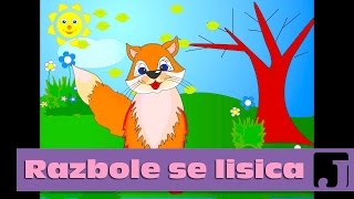 Razbole se lisica - Decije pesme | Jaccoled C