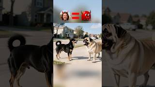 😱🐶 작은 개가 가짜 예수를 이겼다?!✝️😇 #예수#신#믿음#소망#기도