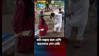 উচ্চতা বড়জোর আড়াই ফুট, কিন্তু সাহস আকাশছোঁয়া! #Rtv #News