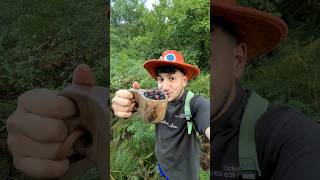 جيعان فالغابة 🌳😱