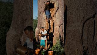 Колодец внутри дерева: выживание на Мадагаскаре