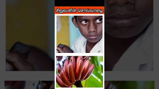 சிறுவனின் சொவ்வாழை tamilshorts #tamilstoryforkidsintamil