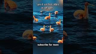 सबने साथ छोड़ा, मां ने नहीं छोड़ा 💔➡️❤️ #shorts #shortsfeed #viral #facts #funny #trending