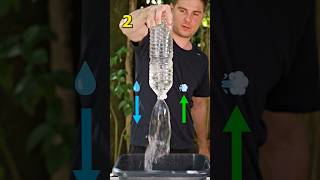 Comment vider une BOUTEILLE le plus vite ?