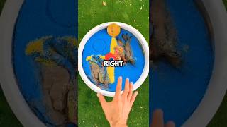 #우타라칸디라소이