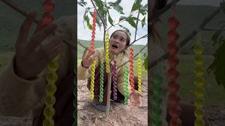 Survival skills: SIMPLE and useful in forest #camping #bushcraft #survival #skills #useful