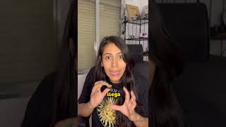 Así es como un border collie salva el día en la playa