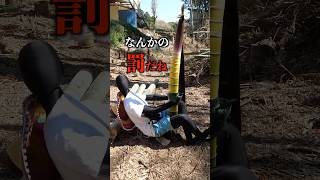 タケノコにしがみついてたら天まで行ける説【自然エレベーター】