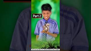 Nemora Found A New Rabit 😂 #tiktok #cartoon #vutervideo #vutcartoon #facts #amazingfacts